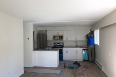 Residential Renovation